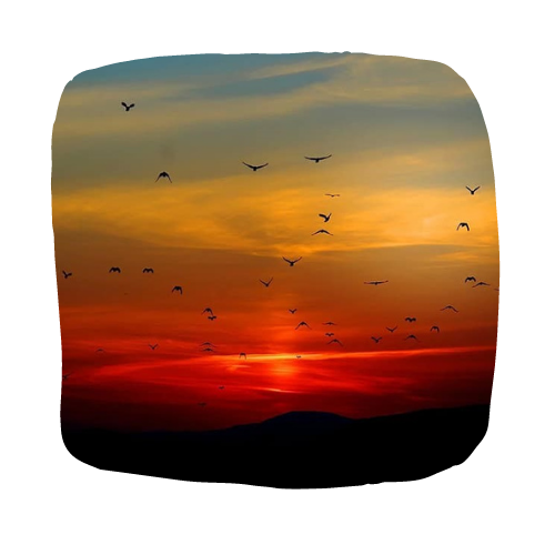 a sunset in the background