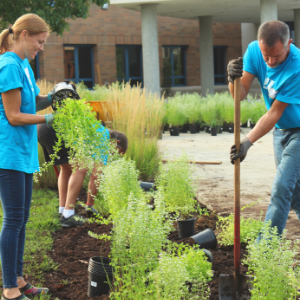 two people digging in a garden