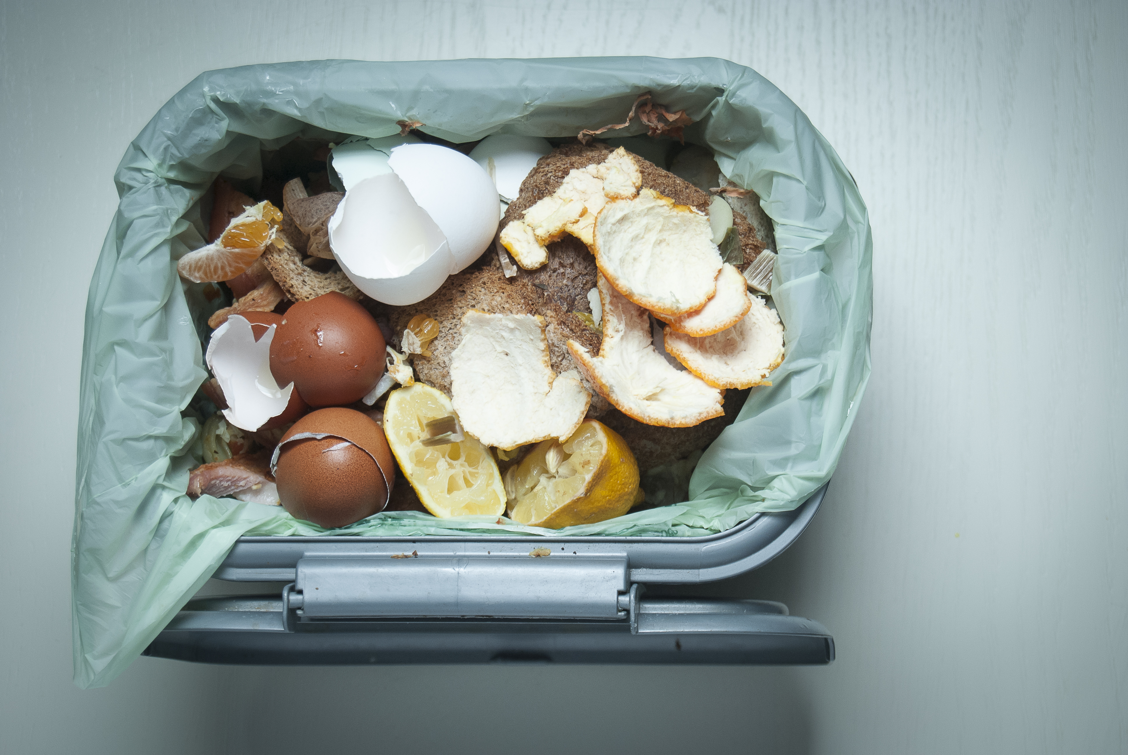 Compost caddy