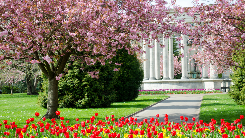 a flower garden in Cardiff