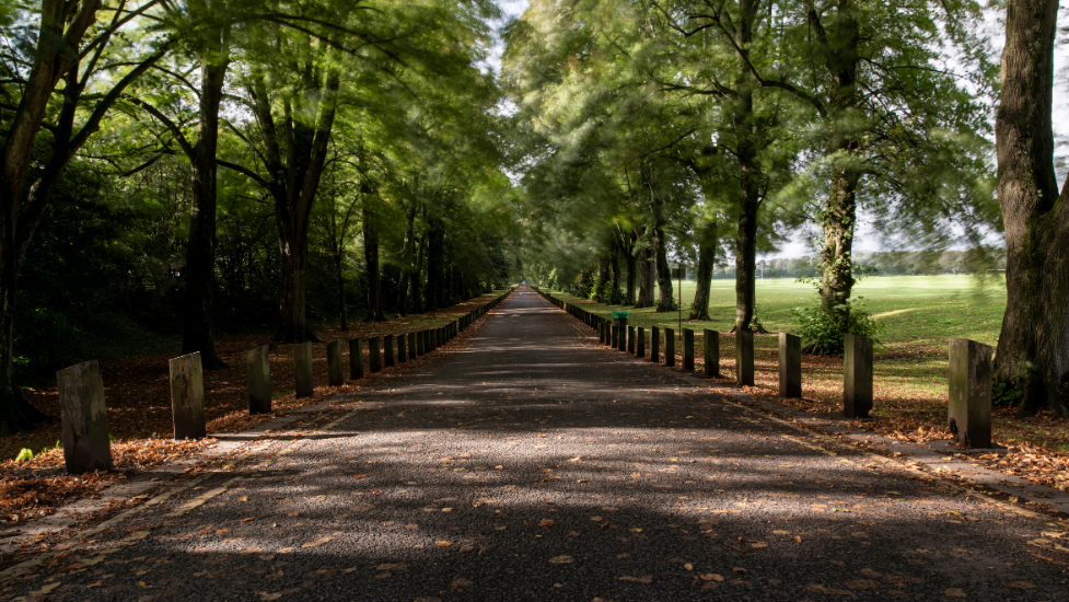 a path in a park