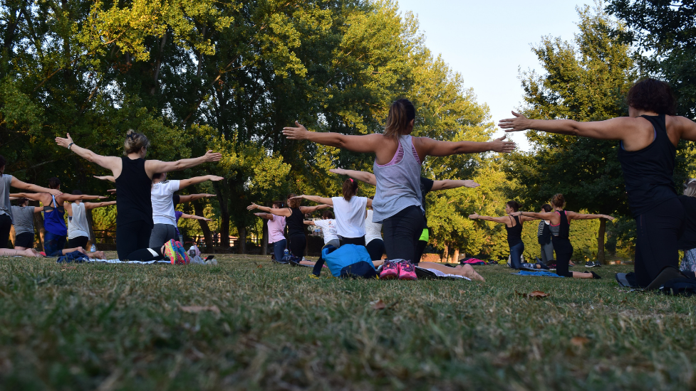 a group of people doing exercise in a park