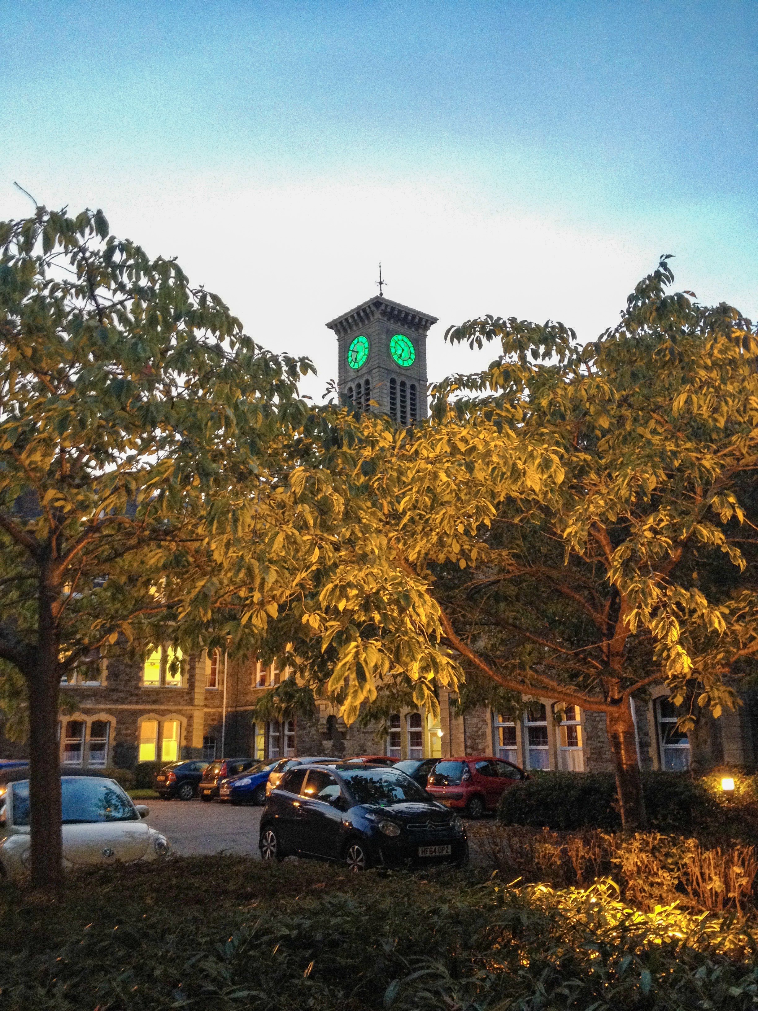 a large tree in a city