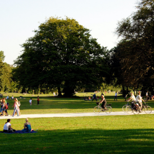 a group of people in a park