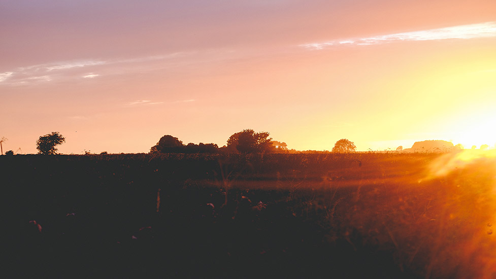 an orange sunset in the background