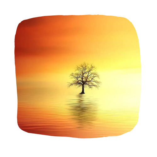 an orange sunset in the background