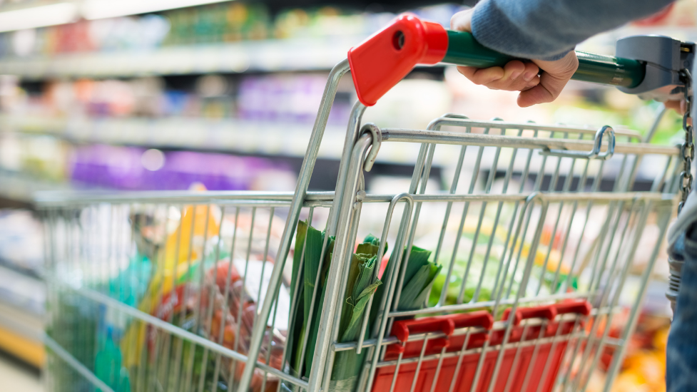 a close up of someone pushing a shopping trolley